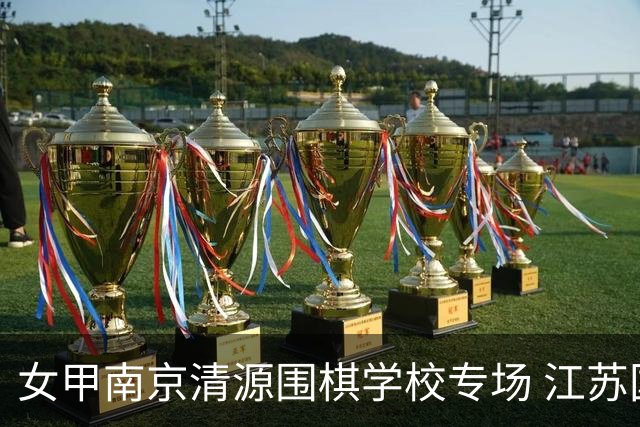 女甲南京清源围棋学校专场 江苏国缘V3憾负成都